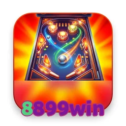 8899win