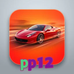 pp12