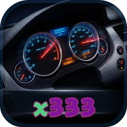x333